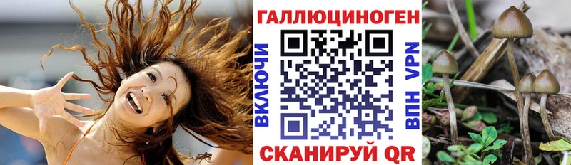 Псилоцибиновые грибы мицелий  Нижняя Тура 